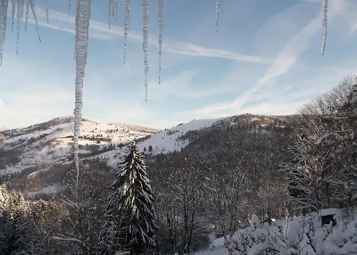 La Ferme du Vieux Sapin